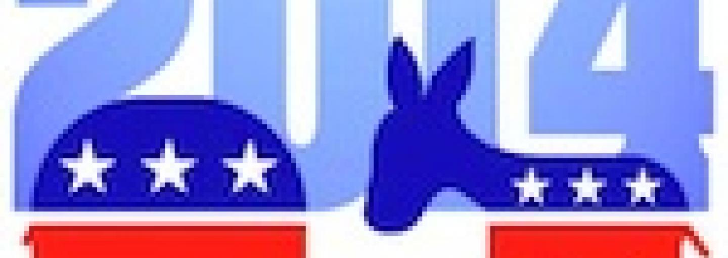 Midterm Election Forecast: Politics in 2014 Image - Midterm Election Forecast: Politics in 2014