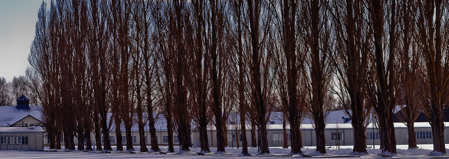 Image - Courage and Compassion