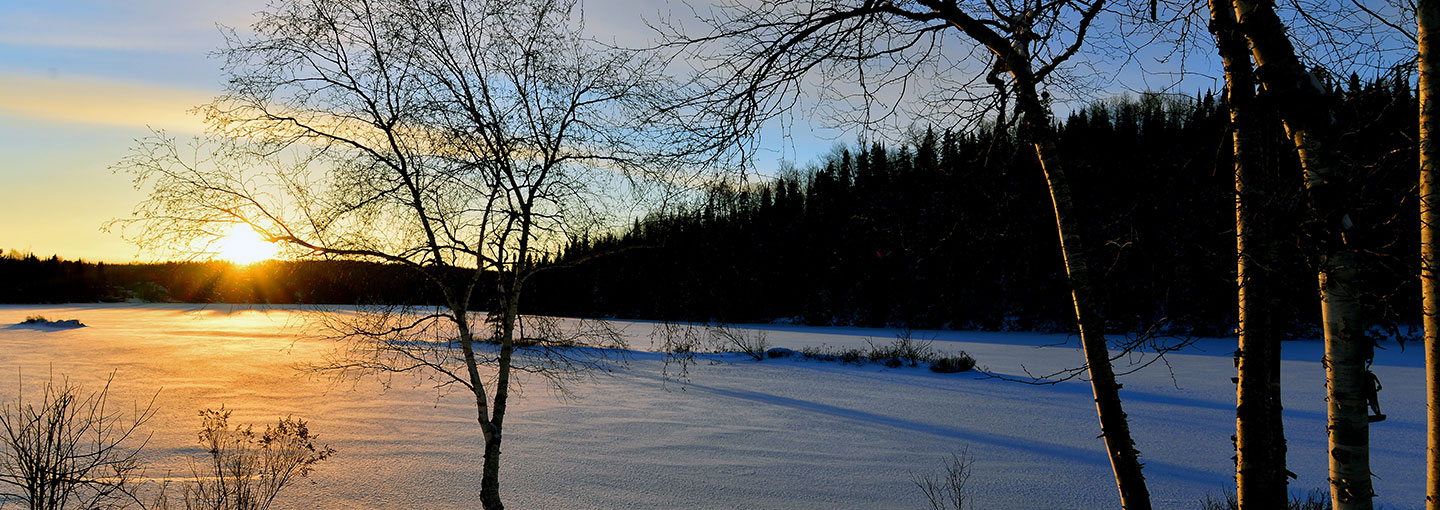 Image - A Brighter Day