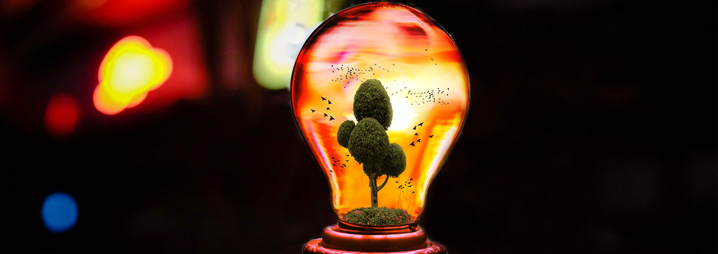 Image - The Fuzzy and the Techie