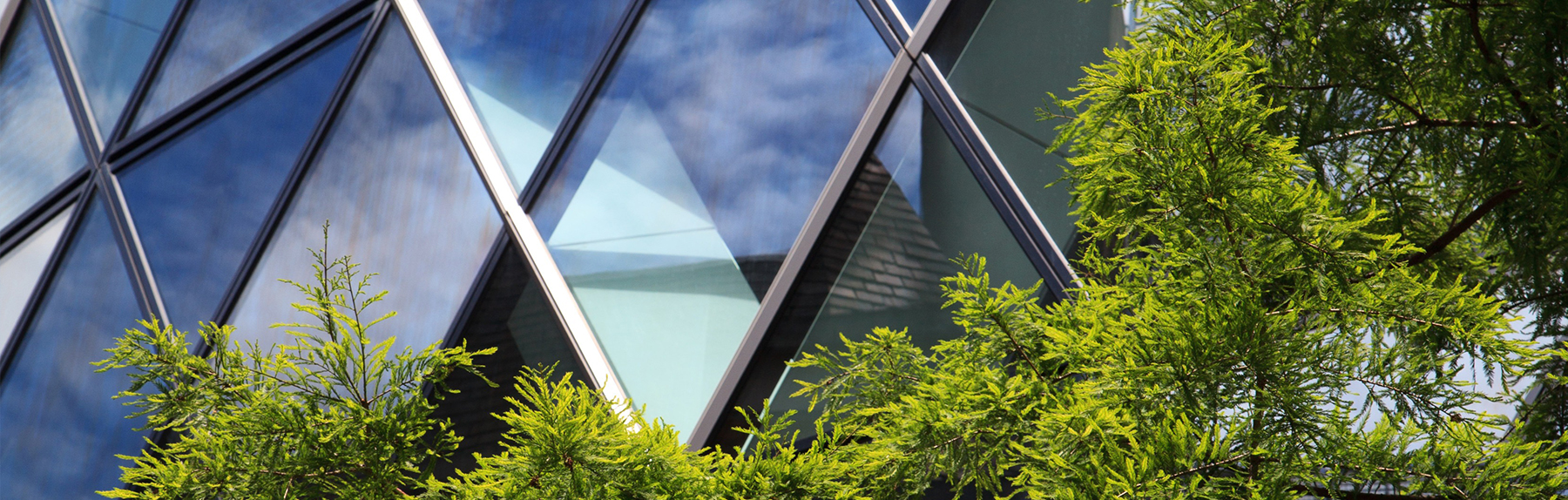 Image - Aligning Profits with the Planet