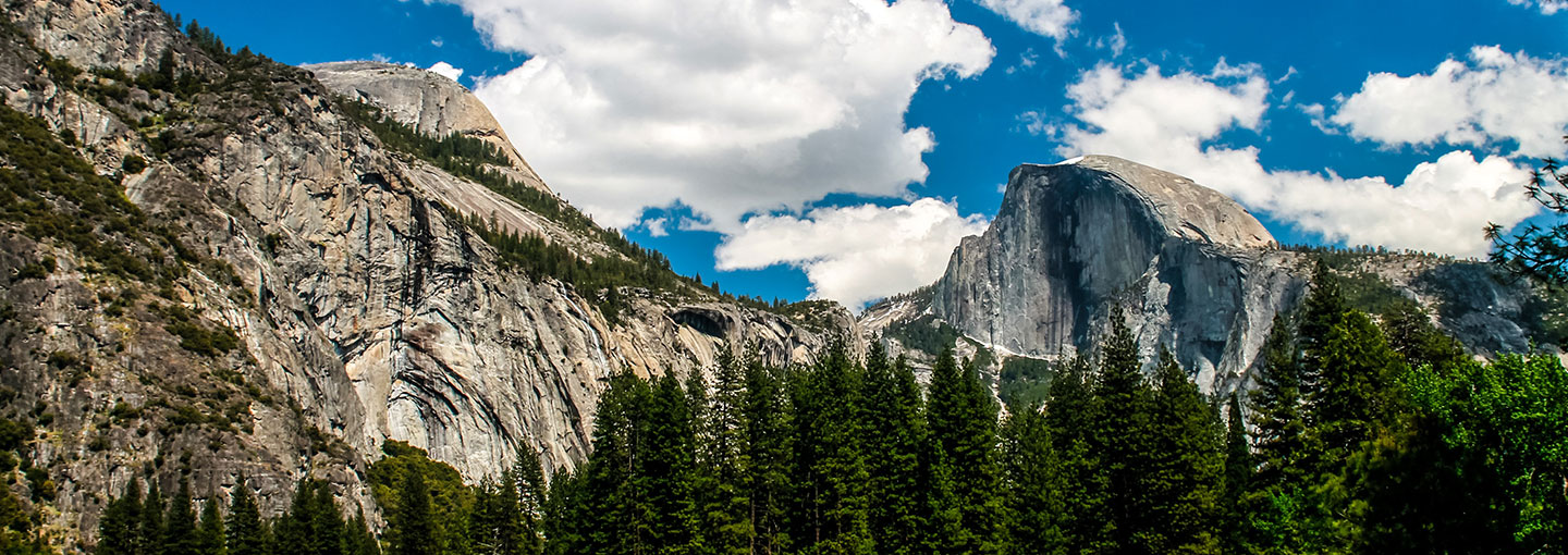 Image - The Sierra Club at 125 Years