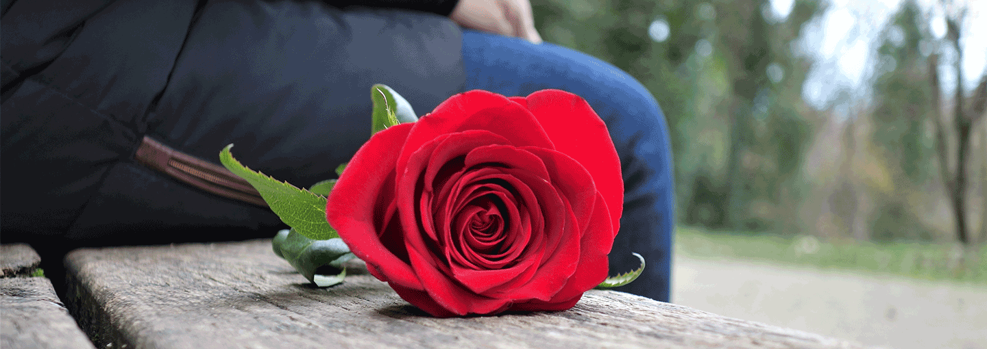 Image - Secrets to Finding Love in the Bay Area