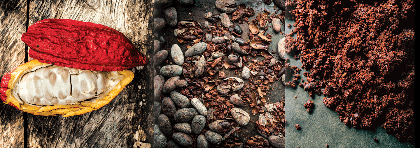 Image - Making Chocolate