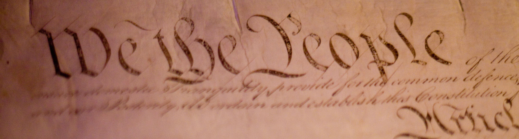 Image - The Lives of the Constitution