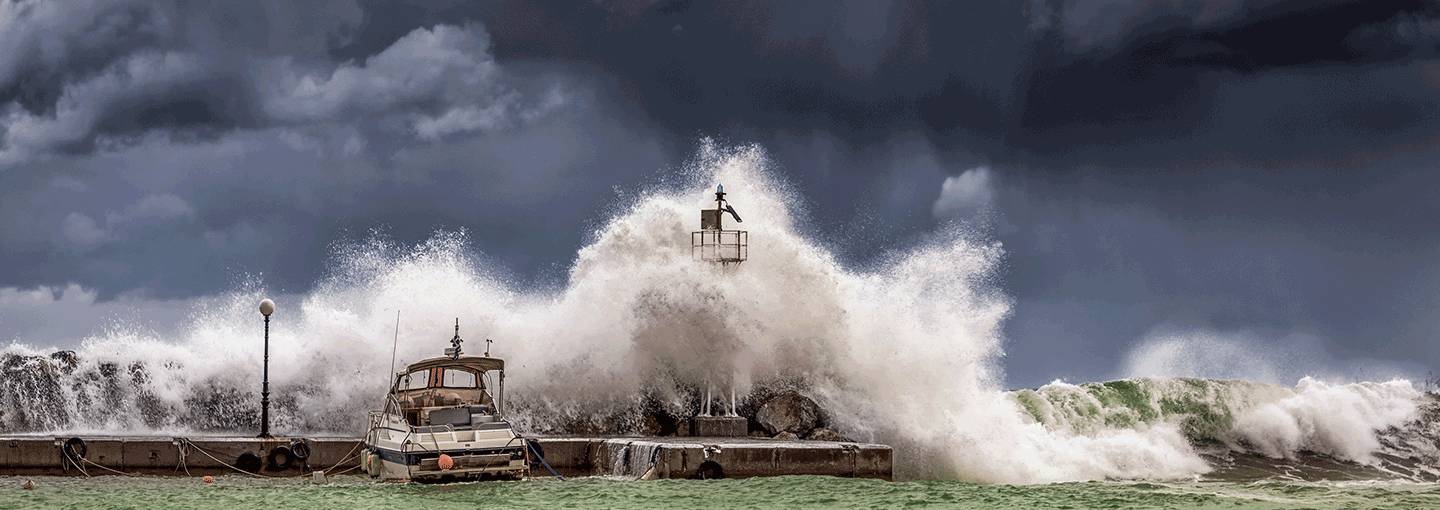 Image - We're Doomed. Now What?