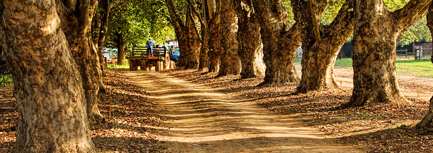 Image - Farmers on the Frontlines
