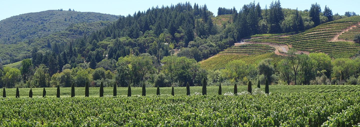 Image - Holiday Toast to the 2018 Vineyards and Wineries