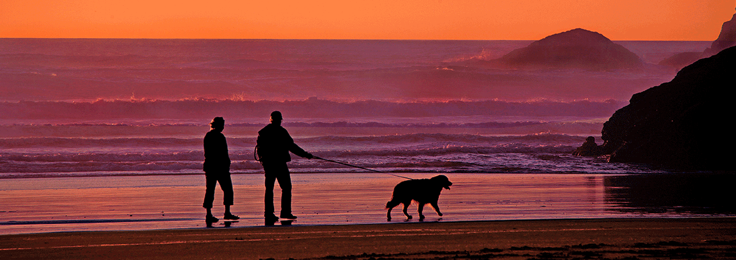 Image - Guide to Retirement Living Alternatives