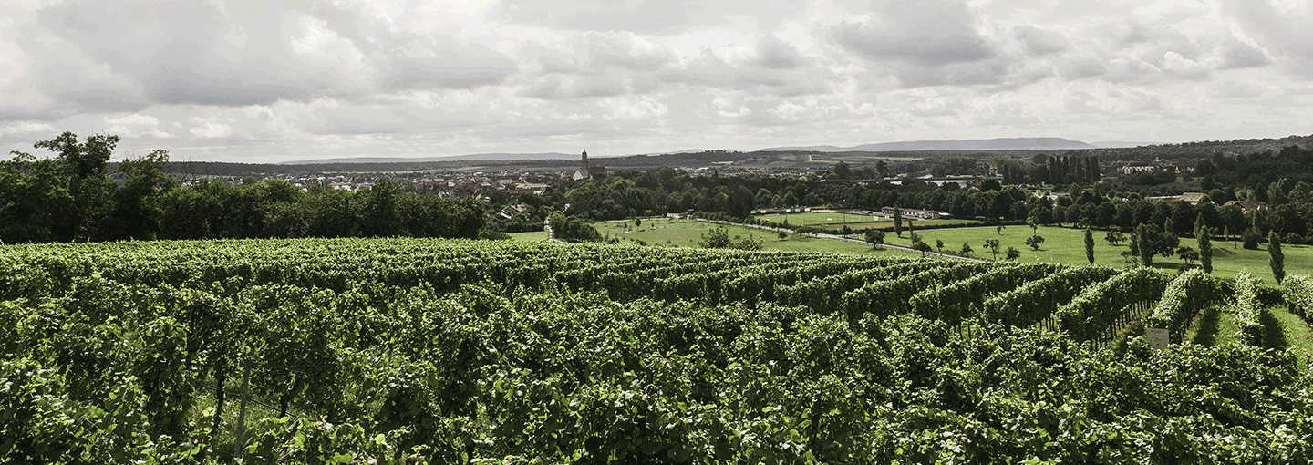 Image - Farming to Save the Earth