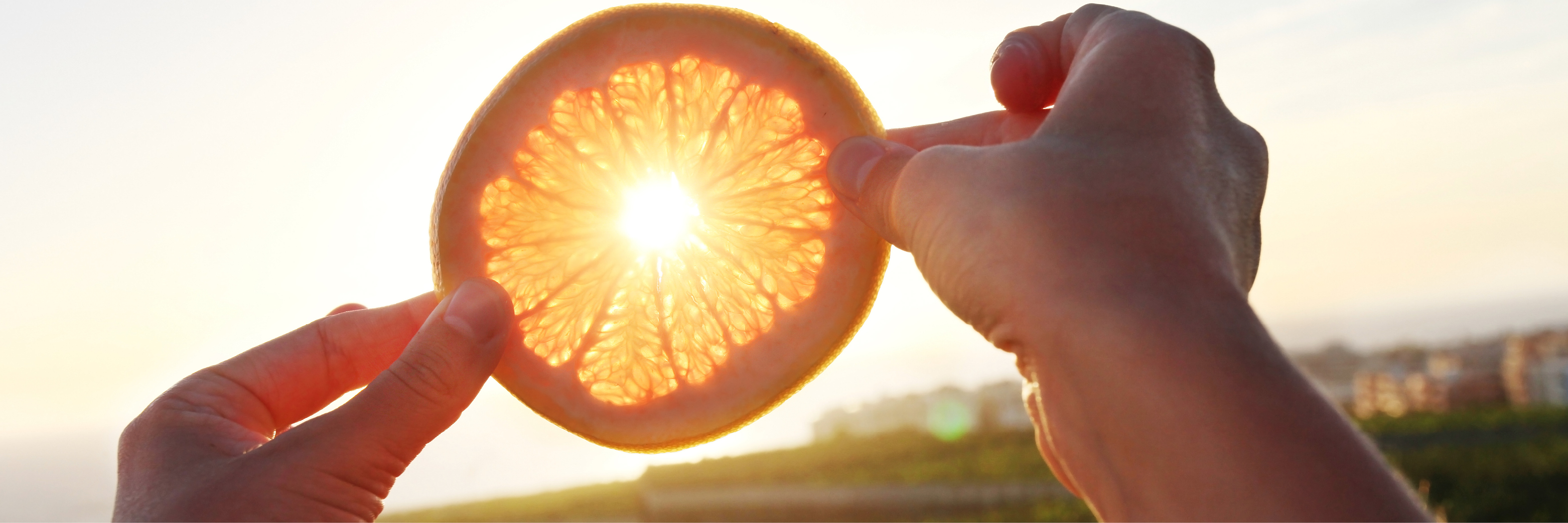 Image - The Fate of Food