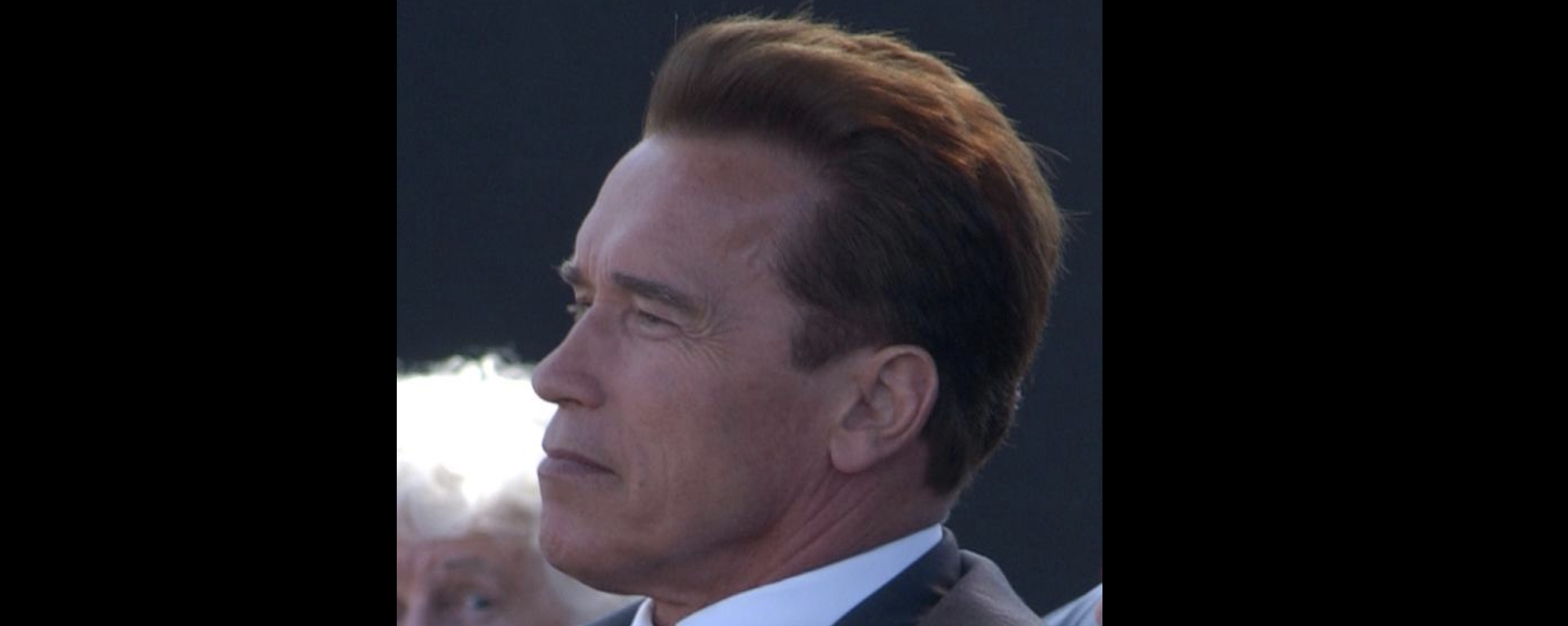 Image - Arnold Schwarzenegger