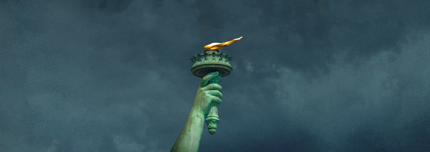 Image - Larry Diamond: Saving American Democracy