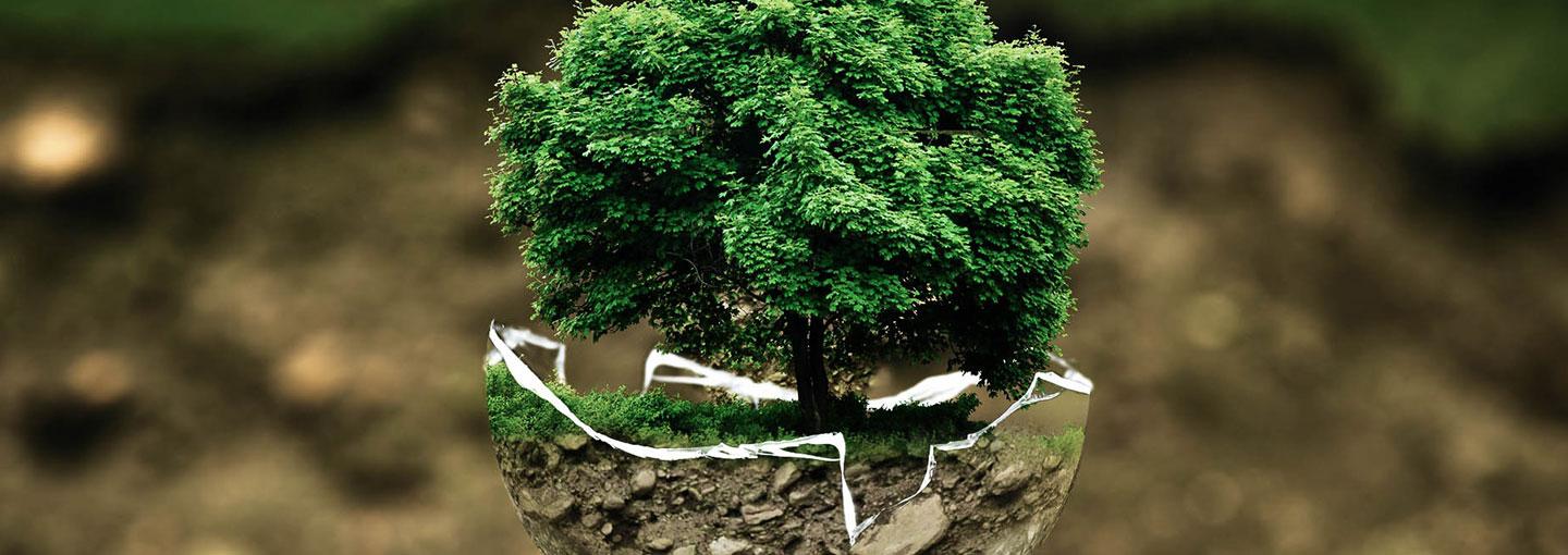 Environmental Movement Image - Environmental Movement