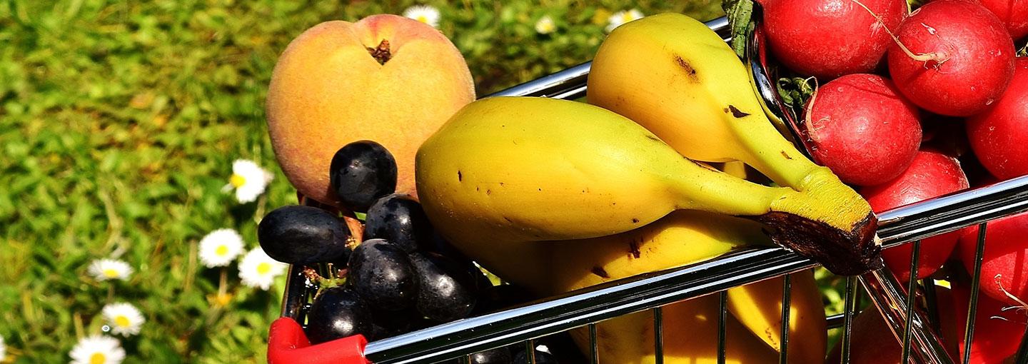 The Health Risks of GMOs Image - The Health Risks of GMOs