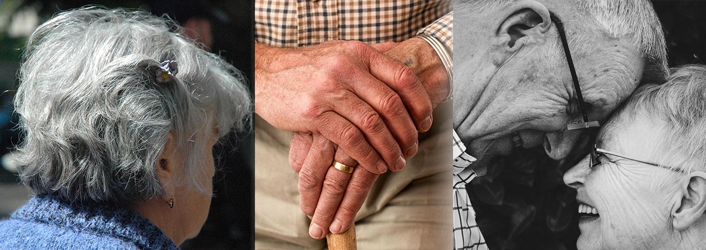 Aging in Marin Image - Aging in Marin