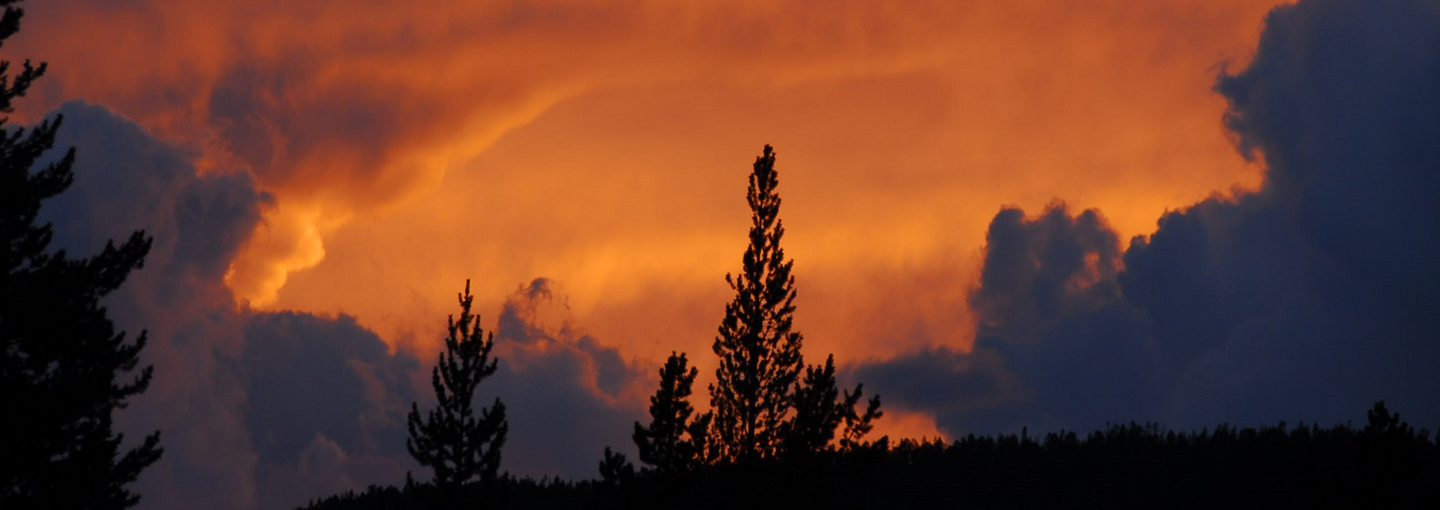 Climate Chaos and Local Resilience Image - Climate Chaos and Local Resilience
