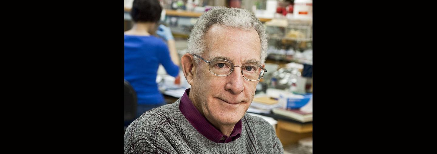 Healthy Cancer Treatment: Address Your Mitochondria Yourself Image - Dr. Thomas Seyfried