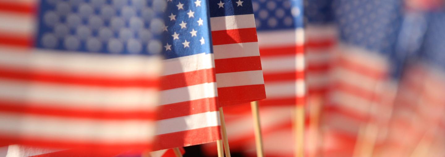 Dentists Organized for Veterans, The DOV Project Image - Dentists Organized for Veterans, The DOV Project