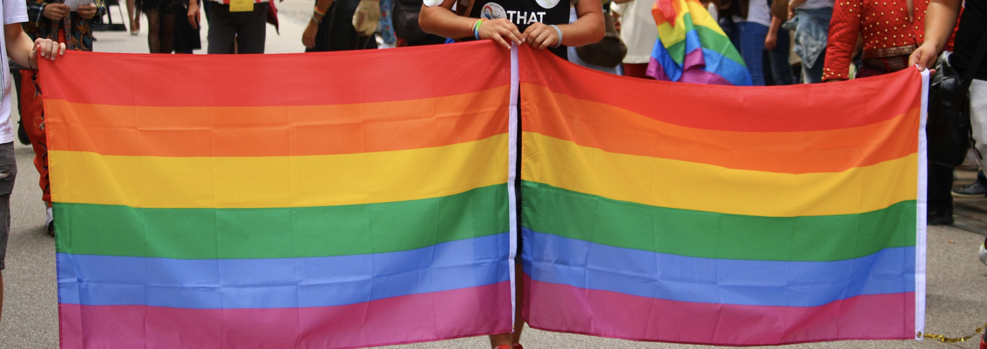 LGBT Elders Image - Pride flag