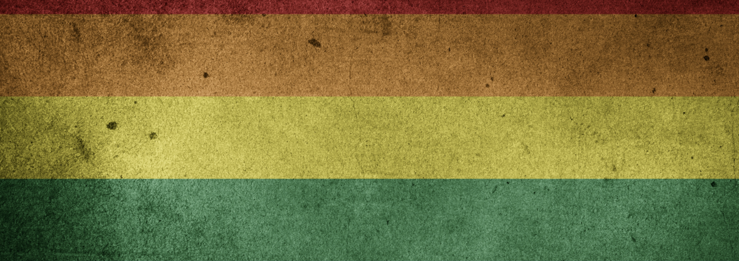 James Hormel Image - rustic pride flag