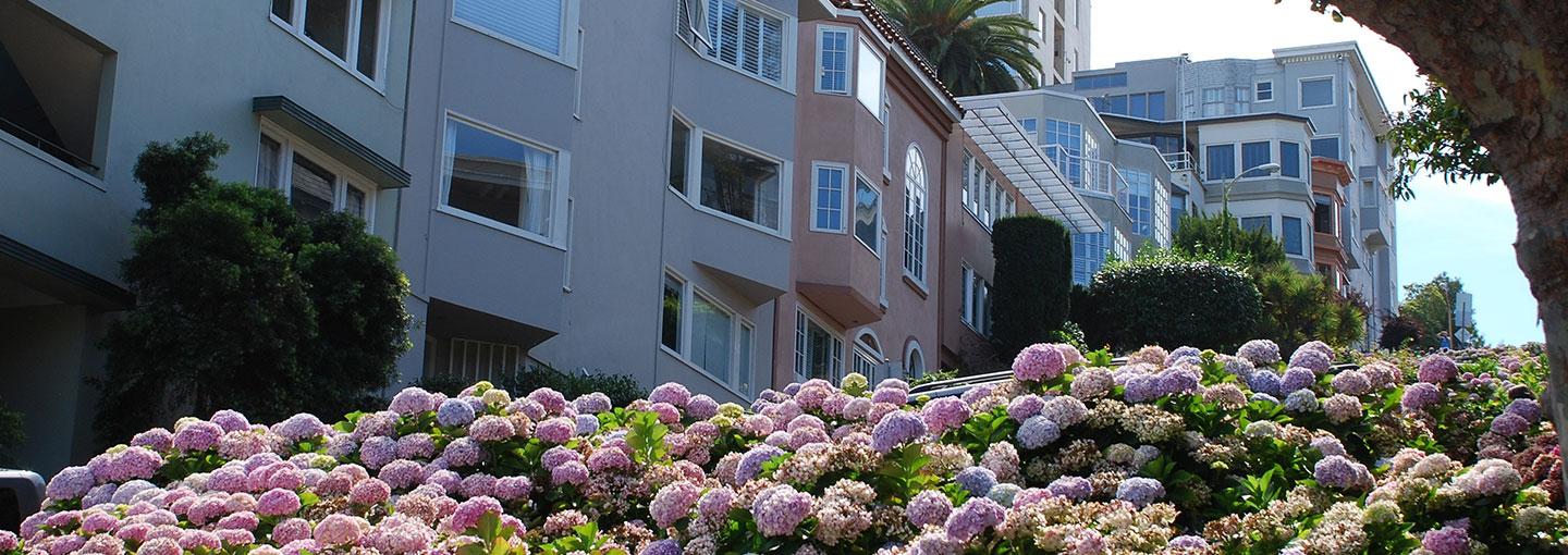 Russian Hill Walking Tour Image - Russian Hill Walking Tour