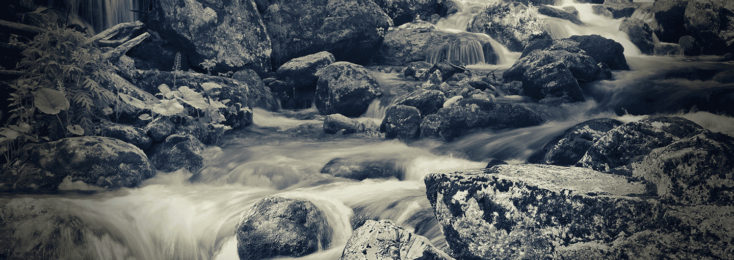 The Environmental Documentary Image - The Environmental Documentary