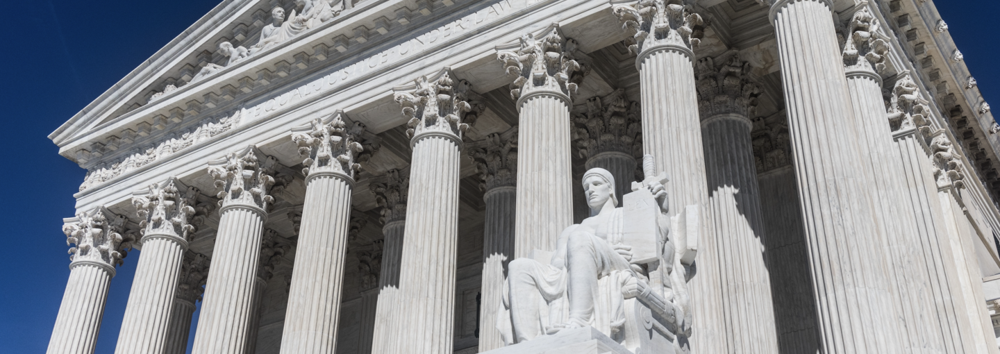 Kate Kendell and 'Pack the Courts' Image - US Supreme Court building