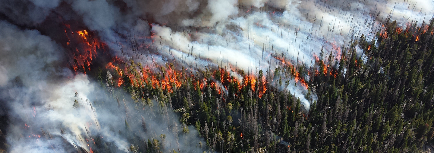 California Wildfires Image - California Wildfires