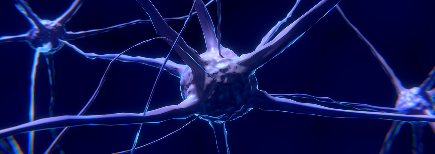 Brain Plasticity Revolution Image - Brain Plasticity Revolution