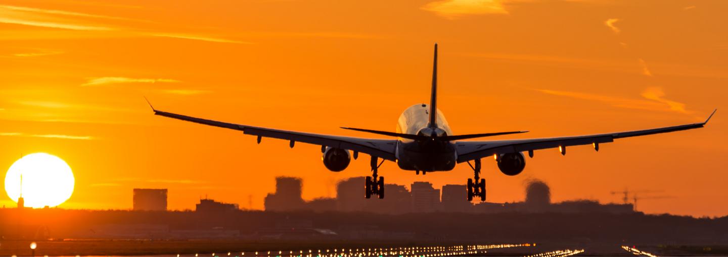 A Flying Shame Image - A Flying Shame