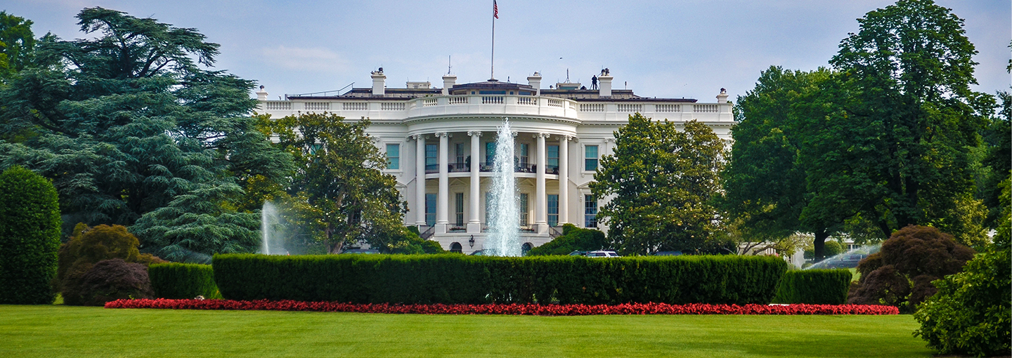 Picking the Democratic Presidential Candidate Image - Picking the Democratic Presidential Candidate