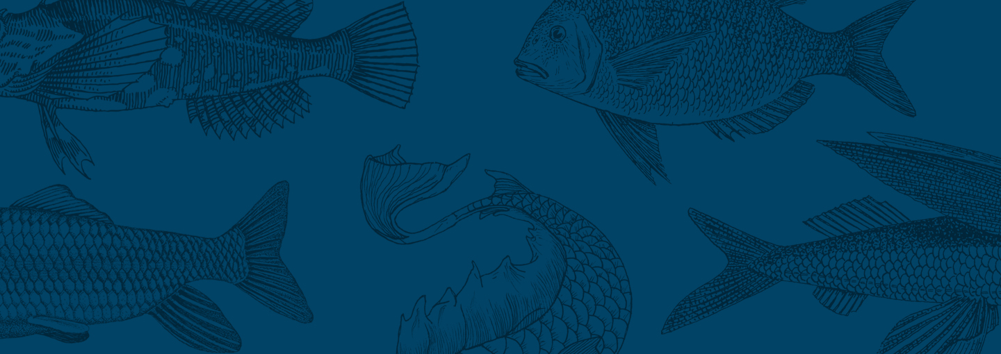 Why Fish Don’t Exist: Invisibilia’s Lulu Miller Image - Why Fish Don’t Exist: Invisibilia’s Lulu Miller