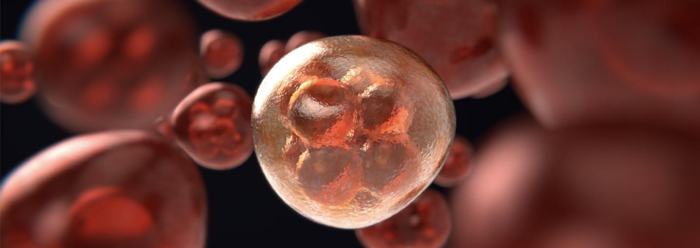 Promising Immunotherapies for Cancer: From the Blacklist to the Nobel Prize Image - cancer cells