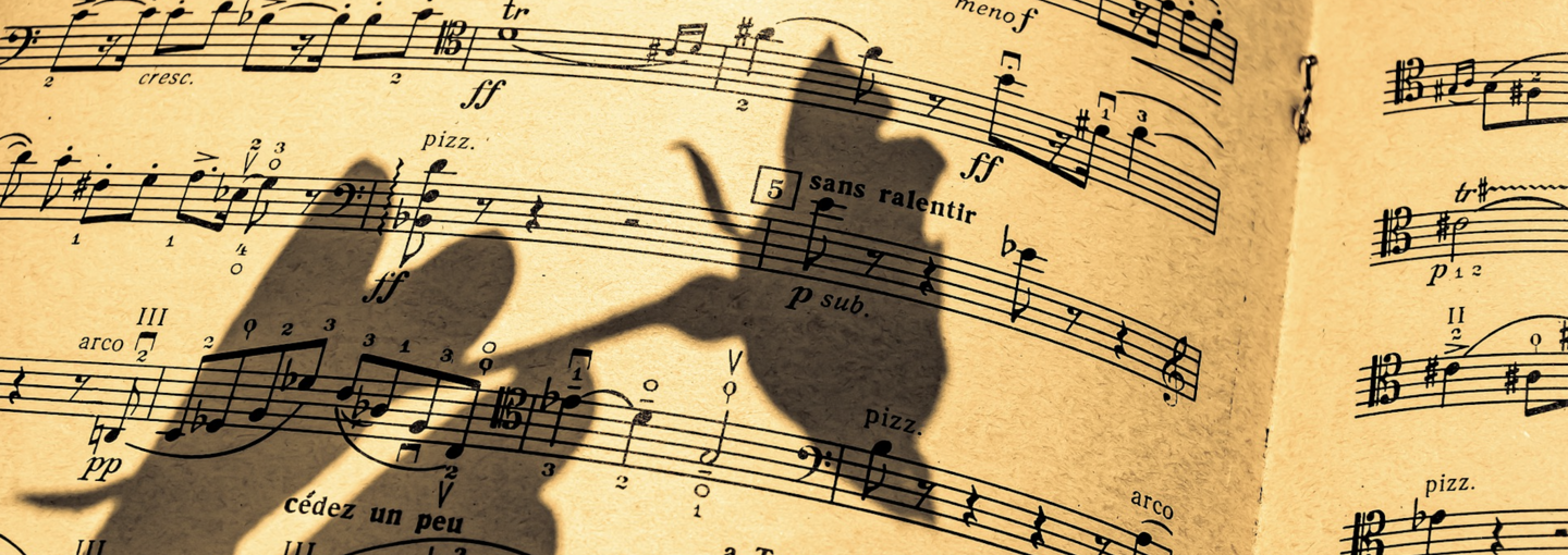 Music: Comfort and Joy Image - music
