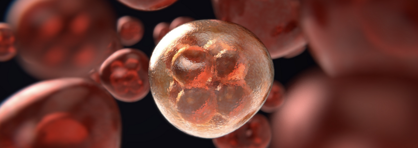 Promising Immunotherapies for Cancer: From the Blacklist to the Nobel Prize Image - cancer cells