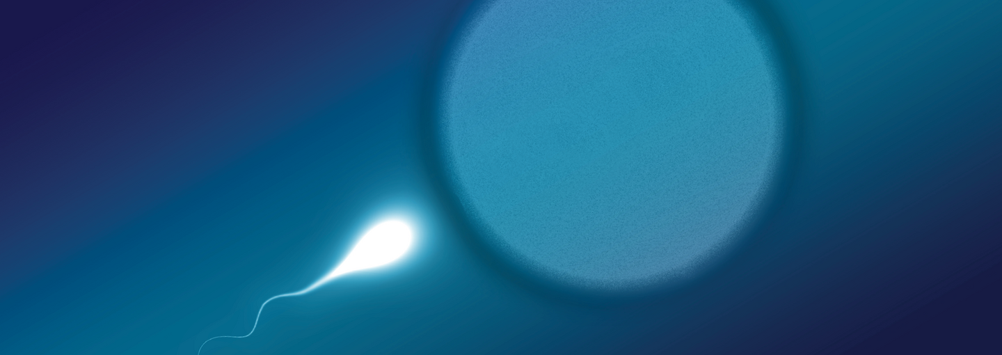 Healthy Society Series: Our Threatened Human Fertility. Causes, Consequences, and Solutions Image - illustration of sperm and egg
