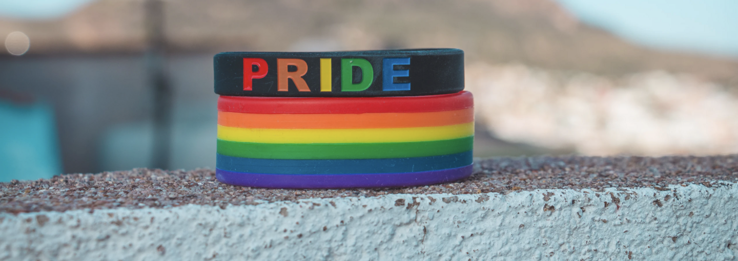 Youth Talks: Challenging Gender in the Classroom Image - pride list