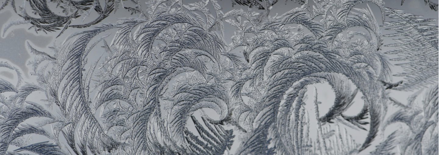 Artists, San Quentin and San Francisco Opera’s 'Fidelio' Image - ice crystals