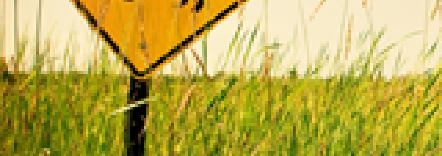 Grazing, Gas and Grass Image - Grazing, Gas and Grass