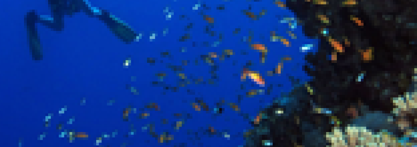 Deep Blue Image - Deep Blue