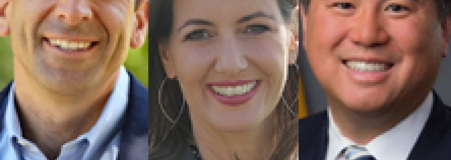 Liccardo, Schaaf and Ting Image - Liccardo, Schaaf and Ting