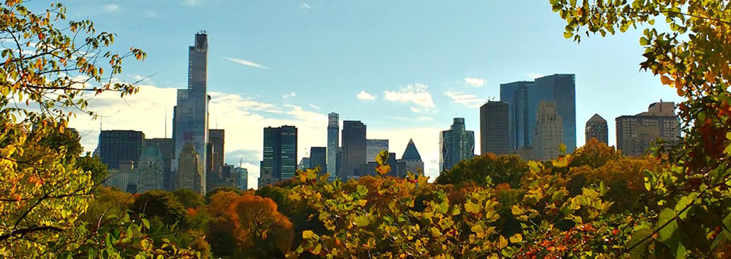 Image - New York