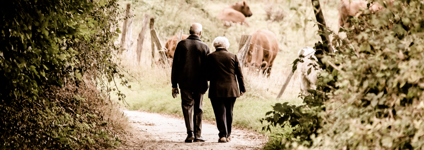 Image - two senior citizens walking down path
