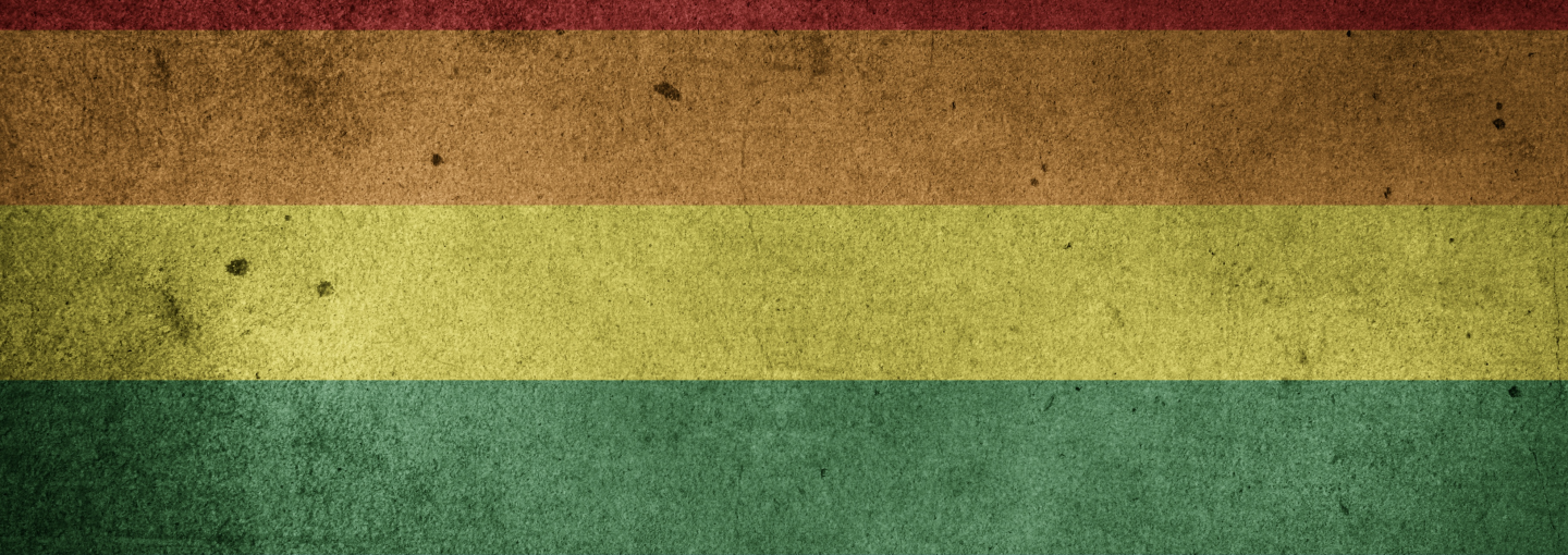 Image - rustic pride flag