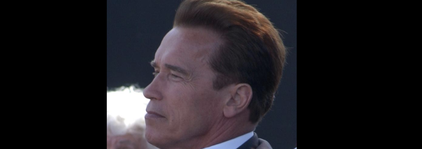 Image - Arnold Schwarzenegger