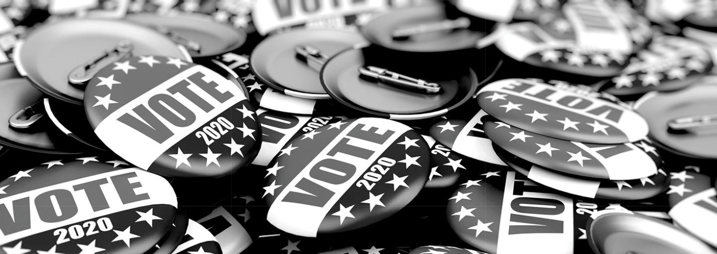 Image - voter buttons