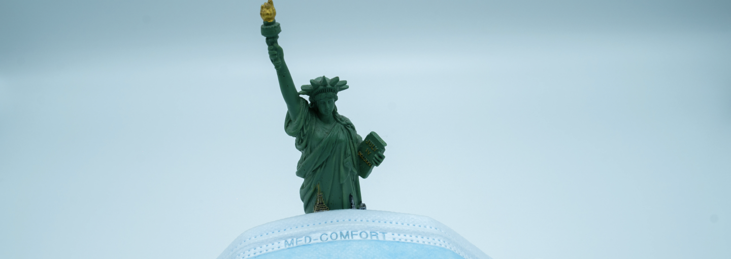 Immigration and COVID Image - Statue of Liberty