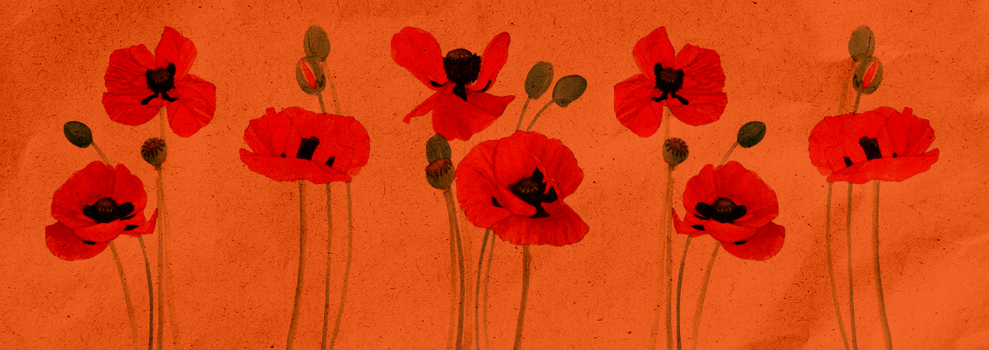 The War on Drugs at 50: A Critical Reflection Image - painting of flowers