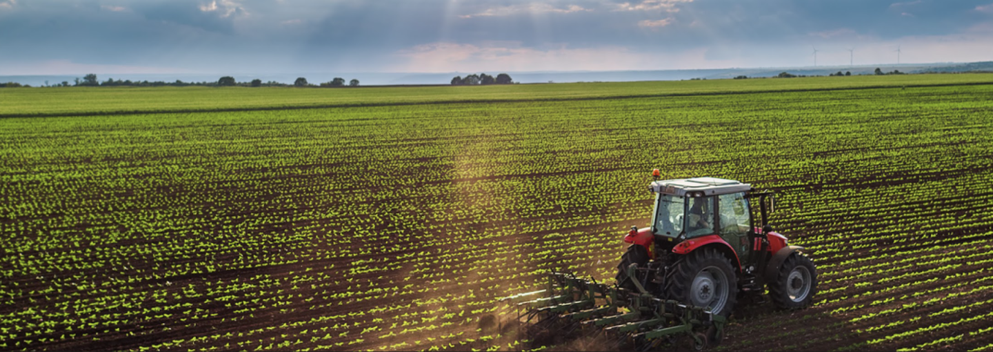Digging Deep into the Next Farm Bill Image - farmer driving tractor in field